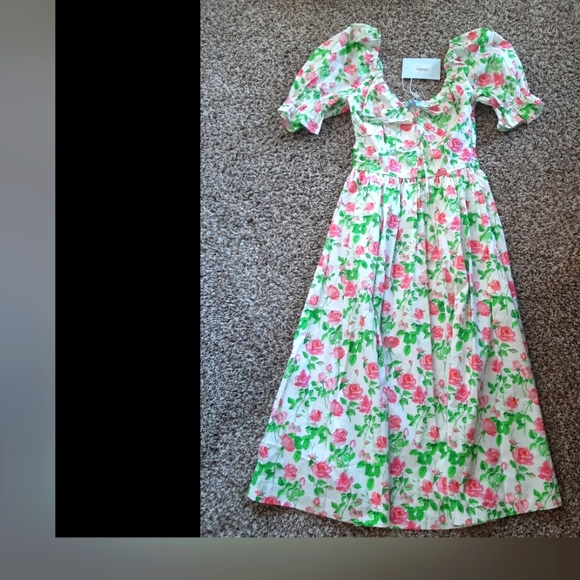 Hill House Pink Roses Pattern Ophelia Dress - Picture 6 of 6